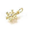 Brass Micro Pave Clear Cubic Zirconia Charms KK-V011-39B-G-2