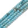 Assembled Natural Dolomite and Synthetic Opal Beads Strands G-Q017-G06-01A-1-1