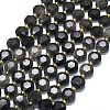 Natural Silver Obsidian Beads Strands G-C116-A106-01-2