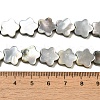 Natural Black Lip Shell Beads Strands SHEL-M021-02A-4
