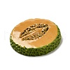 Resin Imitation Fruit Model DJEW-G047-01I-2