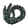 Natural Moss Agate Beads Strands G-C179-A53-03-3