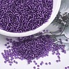 MIYUKI Round Rocailles Beads SEED-X0054-RR1345-1