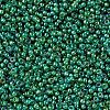 MIYUKI Round Rocailles Beads SEED-X0054-RR0354-3