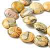 Flat Round Natural Crazy Lace Agate Beads Strands G-S110-05-5
