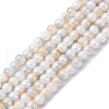 Pearlized Handmade Lampwork Beads Strands LAMP-R020-04C-1