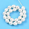 Natural Cultured Freshwater Pearl Beads Strands PEAR-N012-07Z-01-2