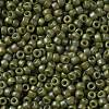 TOHO Round Seed Beads SEED-XTR15-2631F-2