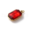 316 Stainless Steel Faceted Glass Pendants STAS-K258-48G-3