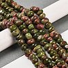 Natural Unakite Beads Strands G-G053-C06-01-2