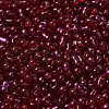 Spray Painted Glass Seed Beads SEED-F005-11A-05-3