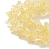 Transparent Glass Beads Strand GLAA-K002-02G-4