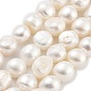 Natural Cultured Freshwater Pearl Beads Strands PEAR-P062-31A-2