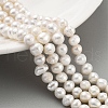 Natural Cultured Freshwater Pearl Beads Strands PEAR-C003-13B-1