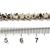 Natural Dalmatian Jasper Beads Strands G-G085-B13-01-4