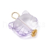 Transparent Glass Pendants PALLOY-JF03960-4
