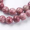 Natural Fossil Coral Beads Strands G-F563-01-10mm-3