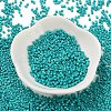 Baking Paint Glass Seed Beads SEED-S042-05B-57-2