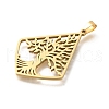 304 Stainless Steel Pendants STAS-S144-16G-A-2