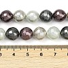 Faceted Round Shell Pearl Beads Strands BSHE-XCP0001-68A-4