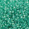 Glass Cylinder Beads SEED-L011-11B-17-3
