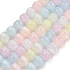 Macaron Color Natural Selenite Beads Strands G-B103-A01-01-1