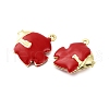 Brass Enamel Pendants KK-F895-02G-2