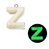 Luminous Resin Pendants RESI-I059-Z02-1
