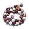 Natural Ocean Jasper Beads Strands G-P457-C05-06-3