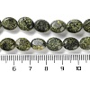 Natural Serpentine/Green Lace Stone Beads Strands G-M420-D18-01-5