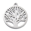 304 Stainless Steel Pendants STAS-L245-016P-1