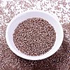 MIYUKI Delica Beads SEED-X0054-DB1879-2