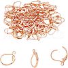 Unicraftale 304 Stainless Steel Leverback Earring Findings STAS-UN0001-67RG-7