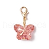 Transparent Acrylic Butterfly Pendant Decorations HJEW-JM03124-4