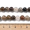 Natural Thousand Layer Lodolite Quartz Beads Strands G-M451-A01-8mm-5