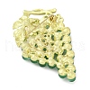 Grape Zinc Alloy Rhinestone  Brooches for Backpack Clothes JEWB-R068-05A-LG-2