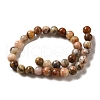 Natural Crazy Lace Agate Round Bead Strands X-G-M272-03-6mm-4