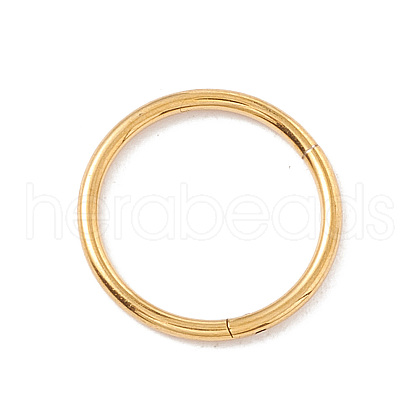 304 Stainless Steel Twister Clasps STAS-C054-03G-1