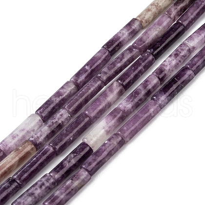 Natural Lepidolite/Purple Mica Stone Beads Strands G-F247-45-1