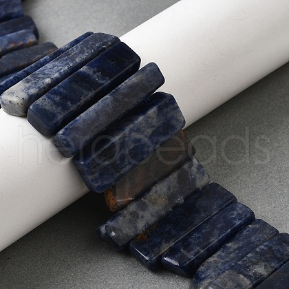 Natural Sodalite Beads Strands G-S386-D19-1
