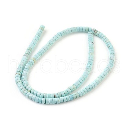 Natural Howlite Beads Strands X-G-P398-F-1