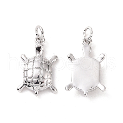 Rack Plating Brass Pendants ZIRC-C042-10P-1