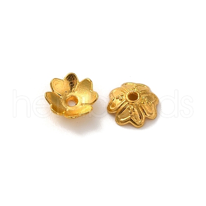 Alloy Beads Caps FIND-G074-01I-1