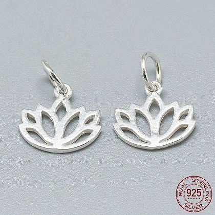 925 Sterling Silver Charms STER-T002-277S-1