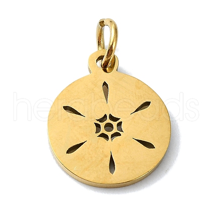304 Stainless Steel Charms STAS-C097-46G-03-1