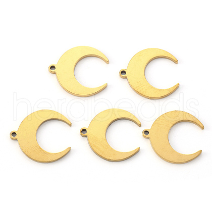 Vacuum Plating 304 Stainless Steel Pendants STAS-N092-102G-1