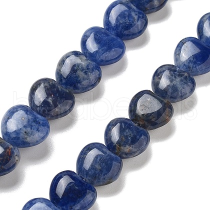 Natural Sodalite Beads Strands G-R190-10mm-37-1