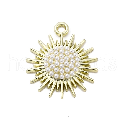 Alloy Pendants ENAM-F152-04G-1