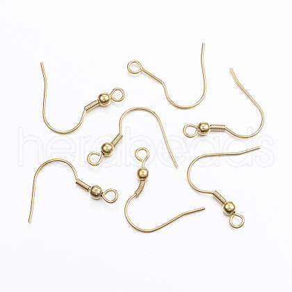 304 Stainless Steel Earring Hooks X1-STAS-L187-03G-1