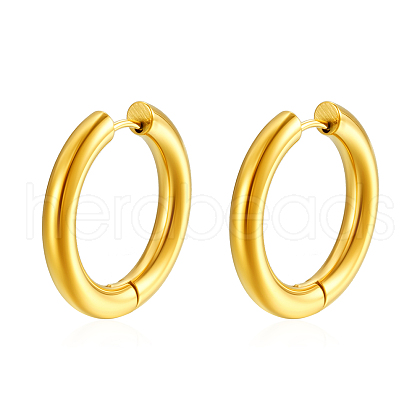 Elegant Stainless Steel Hoop Earrings HD2575-1-1